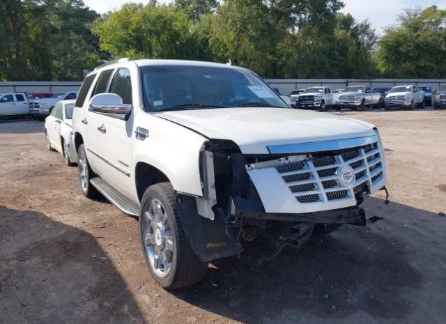 CADILLAC ESCALADE 2010 1gyucbef5ar235762