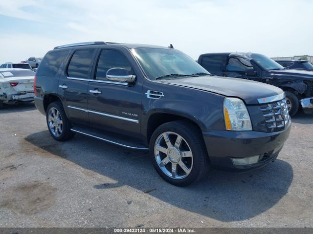 CADILLAC ESCALADE 2010 1gyucbef9ar156014