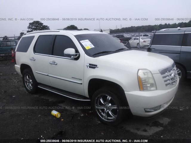 CADILLAC ESCALADE 2010 1gyucbef9ar260048