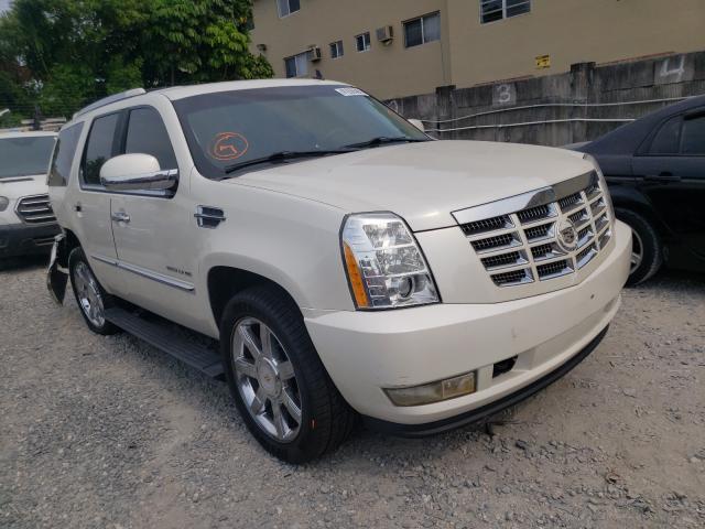 CADILLAC ESCALADE P 2010 1gyuccef1ar289761