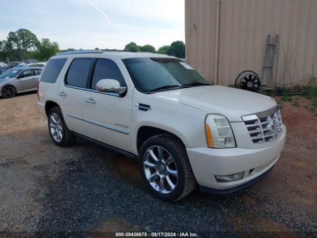 CADILLAC ESCALADE 2010 1gyuccef3ar108384