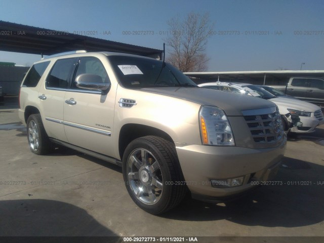 CADILLAC ESCALADE 2010 1gyuccef4ar152538