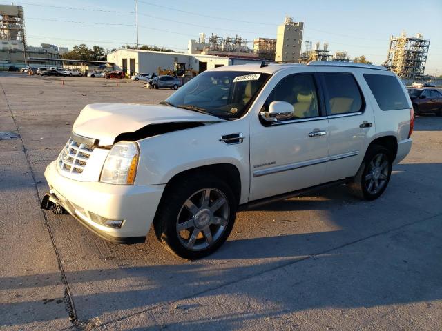 CADILLAC ESCALADE P 2010 1gyuccef4ar284814