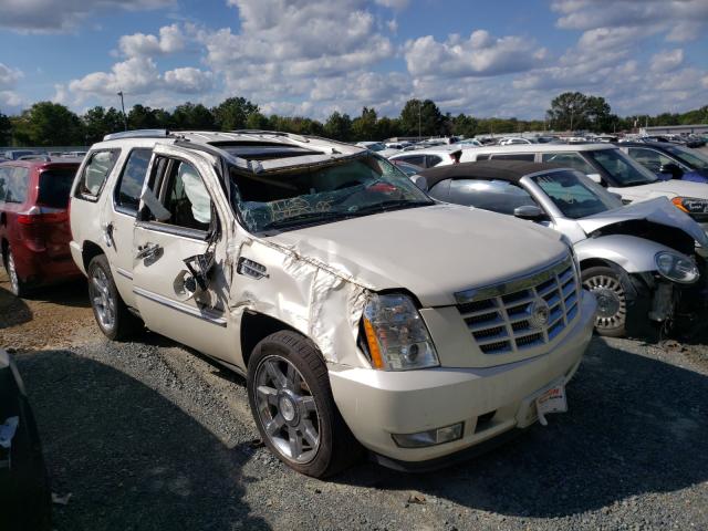 CADILLAC ESCALADE P 2010 1gyuccef8ar250049