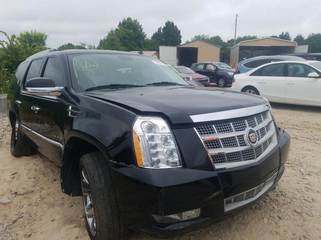 CADILLAC ESCALADE P 2010 1gyucdef0ar282046