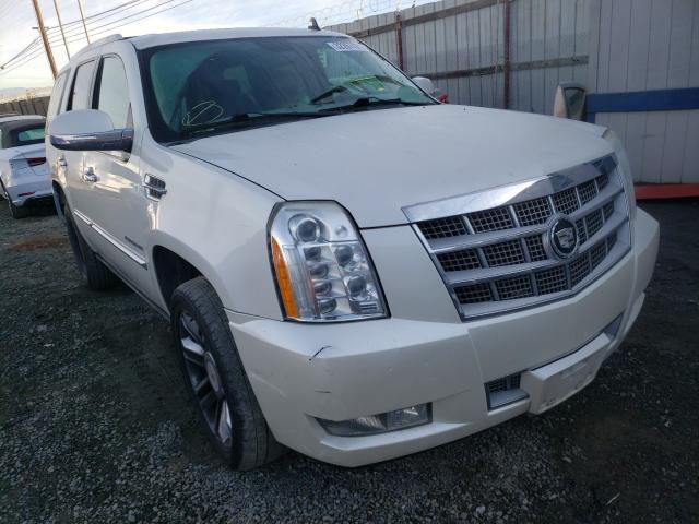 CADILLAC ESCALADE P 2010 1gyucdef6ar266028