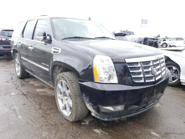 CADILLAC ESCALADE H 2010 1gyuceej0ar172298