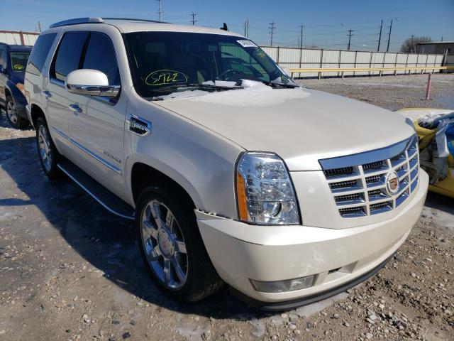 CADILLAC ESCALADE H 2010 1gyuceej7ar210593