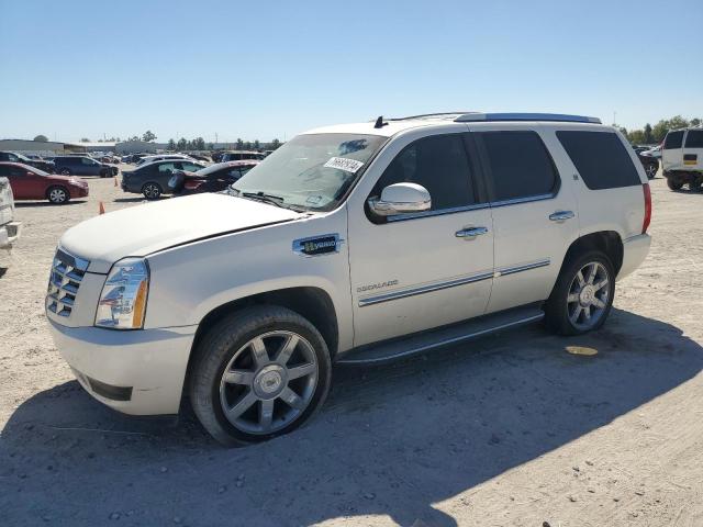 CADILLAC ESCALADE H 2010 1gyuceej9ar210420