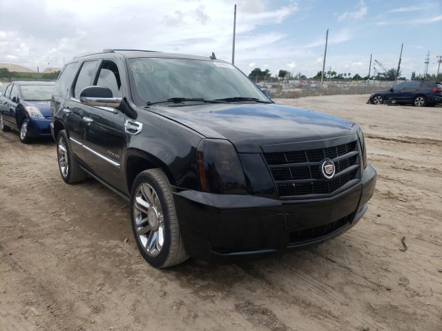 CADILLAC ESCALADE P 2010 1gyucfej5ar258034