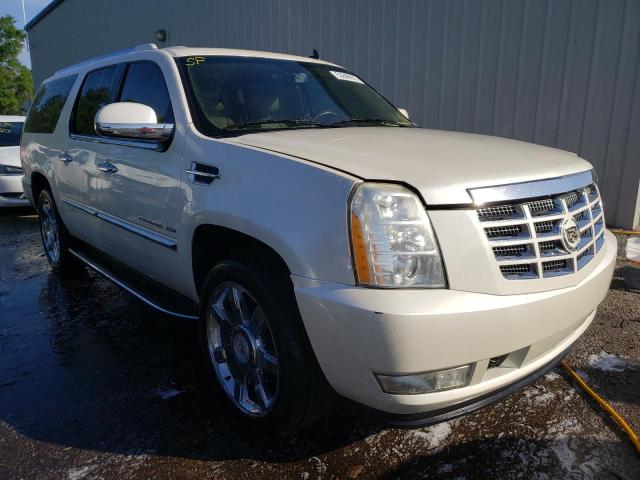 CADILLAC ESCALADE E 2010 1gyuchef2ar150641