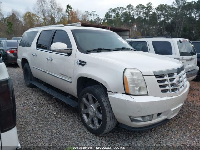 CADILLAC ESCALADE ESV 2010 1gyucjef0ar289299