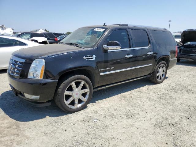 CADILLAC ESCALADE 2010 1gyucjefxar262983