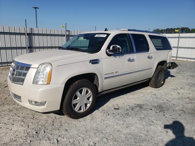 CADILLAC ESCALADE 2010 1gyuckef5ar219819