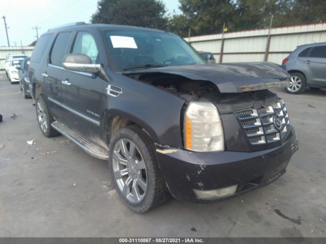 CADILLAC ESCALADE 2010 1gyukaef1ar110318