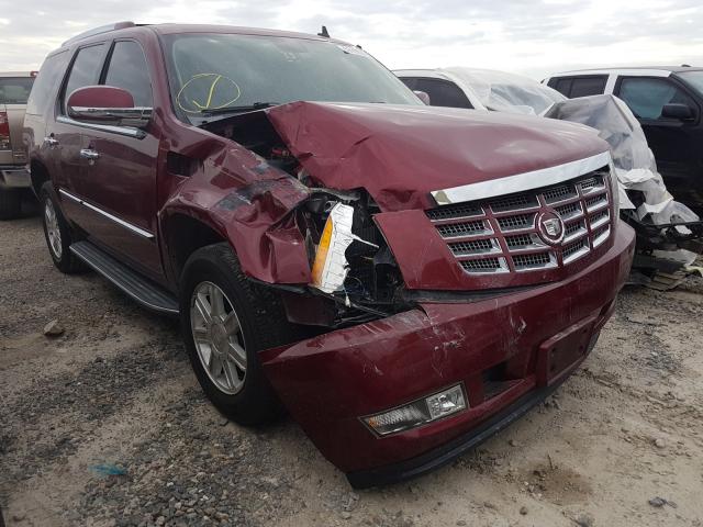 CADILLAC ESCALADE 2010 1gyukaef3ar107792