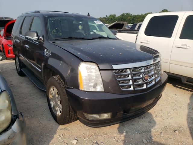 CADILLAC ESCALADE 2010 1gyukaef3ar115973