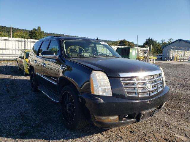 CADILLAC ESCALADE 2010 1gyukaef3ar118338