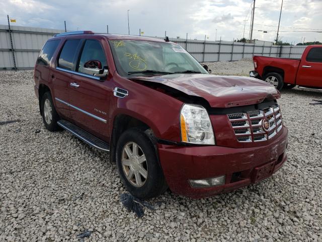 CADILLAC ESCALADE 2010 1gyukaef4ar113228