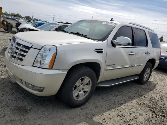 CADILLAC ESCALADE 2010 1gyukaef4ar230663