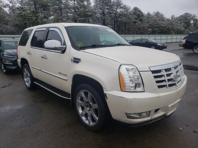 CADILLAC ESCALADE 2010 1gyukaef7ar140259