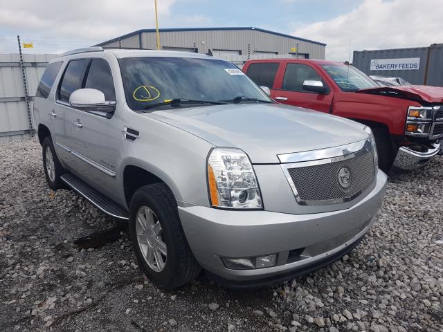 CADILLAC ESCALADE 2010 1gyukaef8ar230861