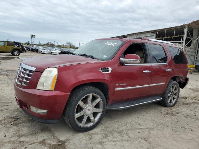 CADILLAC ESCALADE 2010 1gyukaef9ar101642