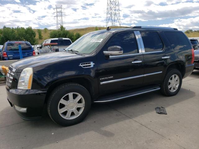 CADILLAC ESCALADE 2010 1gyukaef9ar168385