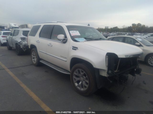 CADILLAC ESCALADE 2010 1gyukaefxar159906