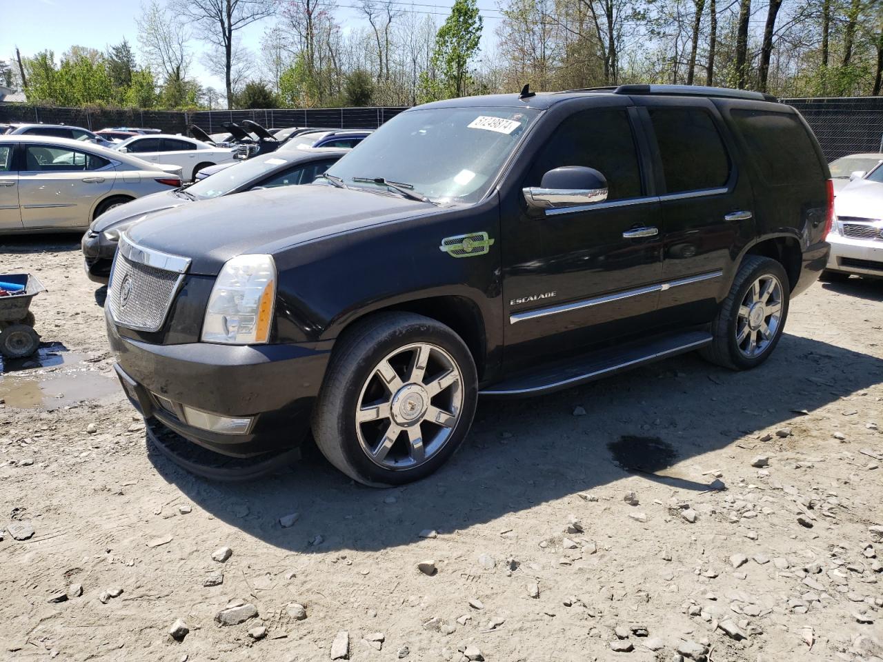 CADILLAC ESCALADE 2010 1gyukbef0ar155708