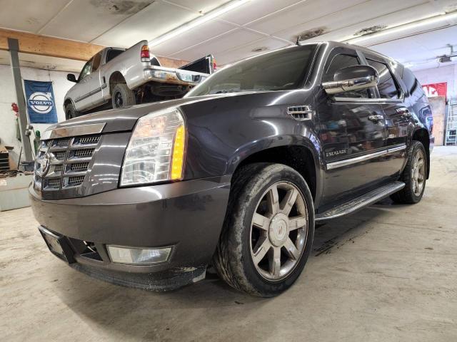 CADILLAC ESCALADE 2010 1gyukbef0ar186389