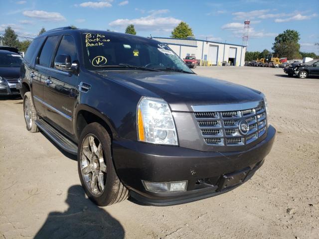 CADILLAC ESCALADE L 2010 1gyukbef1ar204401