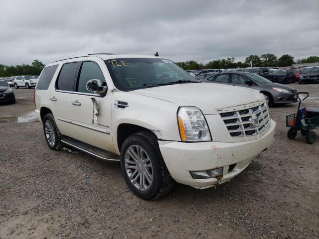 CADILLAC ESCALADE L 2010 1gyukbef1ar241464