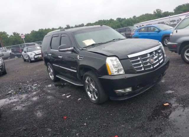 CADILLAC ESCALADE 2010 1gyukbef1ar254408