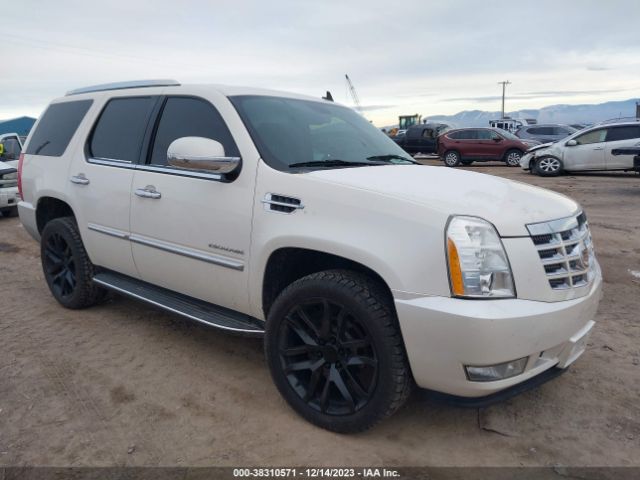 CADILLAC ESCALADE 2010 1gyukbef2ar107143