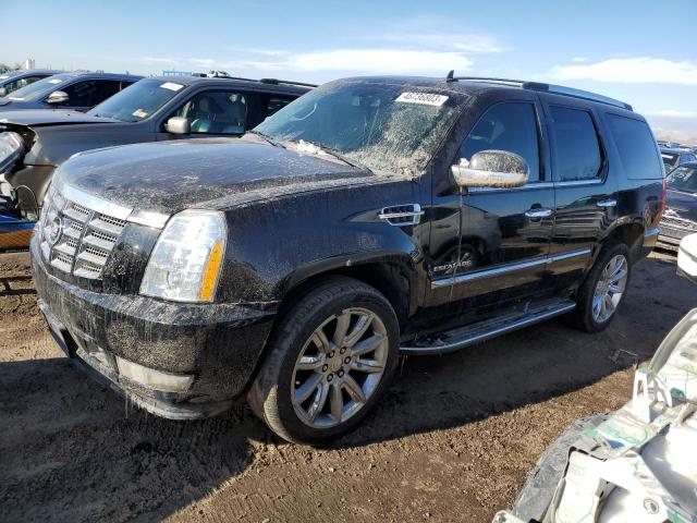 CADILLAC ESCALADE L 2010 1gyukbef2ar280998