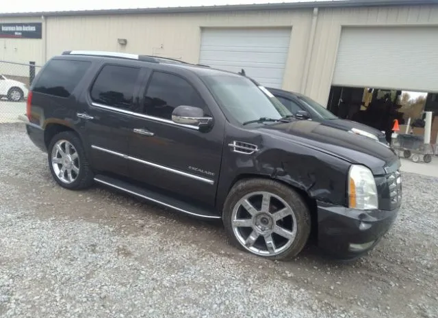 CADILLAC ESCALADE 2010 1gyukbef3ar111606