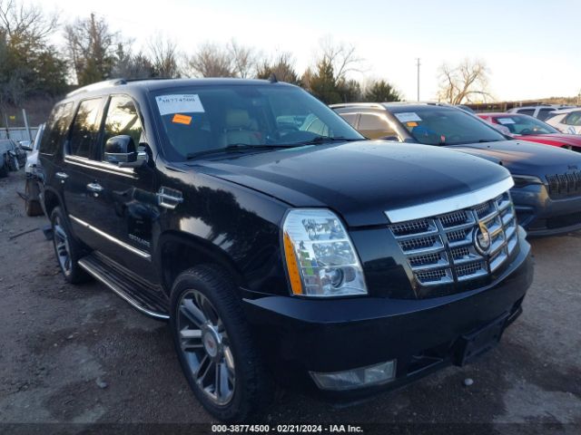 CADILLAC ESCALADE 2010 1gyukbef3ar115008