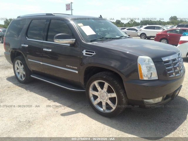 CADILLAC ESCALADE 2010 1gyukbef3ar120905