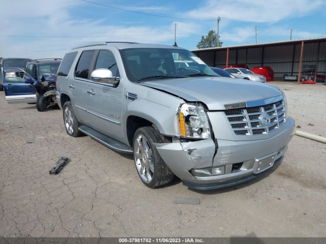 CADILLAC ESCALADE 2010 1gyukbef3ar186063