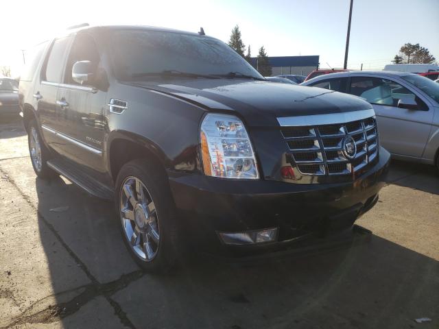 CADILLAC ESCALADE L 2010 1gyukbef4ar196245