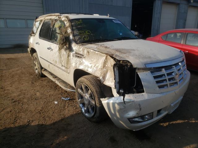 CADILLAC ESCALADE L 2010 1gyukbef4ar218616