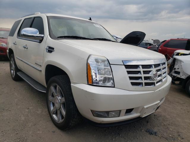 CADILLAC ESCALADE L 2010 1gyukbef5ar105614