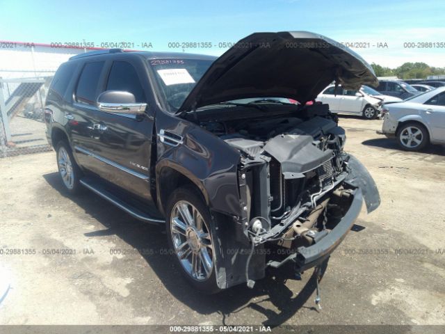 CADILLAC ESCALADE 2010 1gyukbef5ar122025