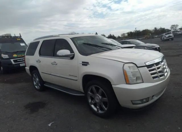 CADILLAC ESCALADE 2010 1gyukbef5ar147832