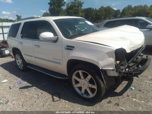 CADILLAC ESCALADE 2010 1gyukbef5ar150553