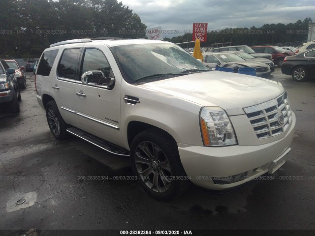 CADILLAC ESCALADE 2010 1gyukbef5ar155493