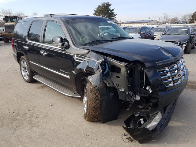 CADILLAC ESCALADE L 2010 1gyukbef5ar211609