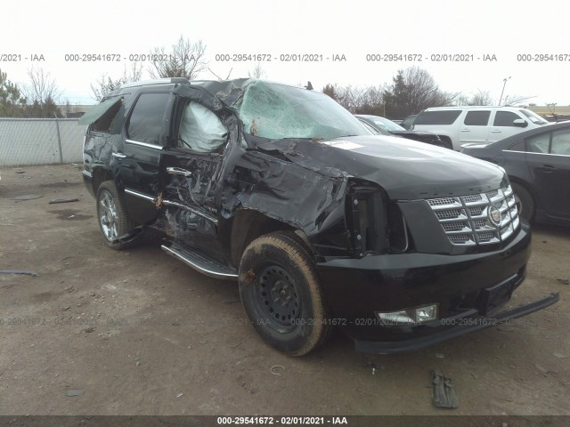 CADILLAC ESCALADE 2010 1gyukbef5ar254122