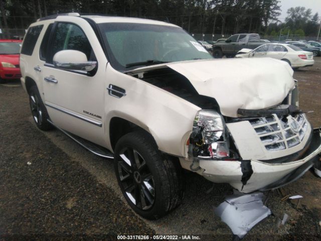 CADILLAC ESCALADE 2010 1gyukbef5ar258770